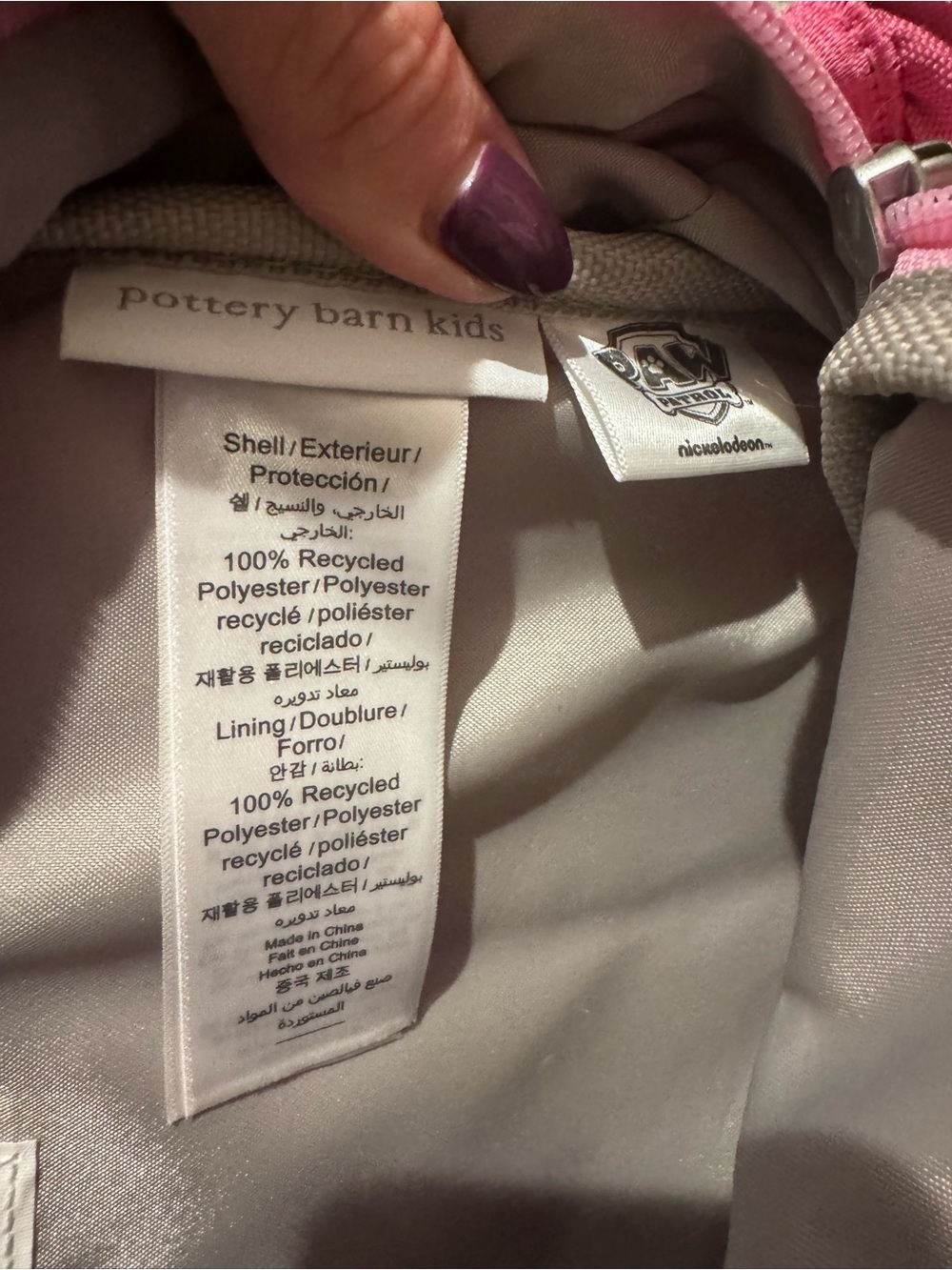 Paw Patrol Pottery Barn Kids Mackenzie Skye Backpack - Picture 5 of 5